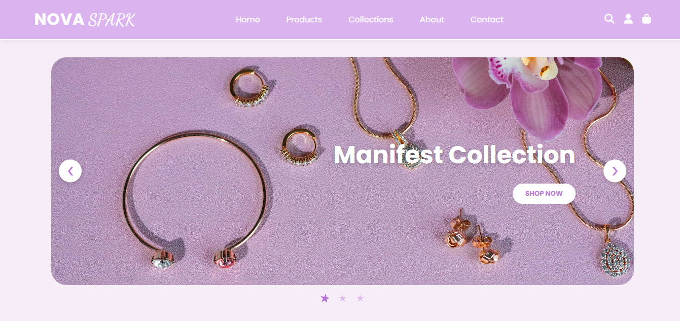 Custom web development solutions